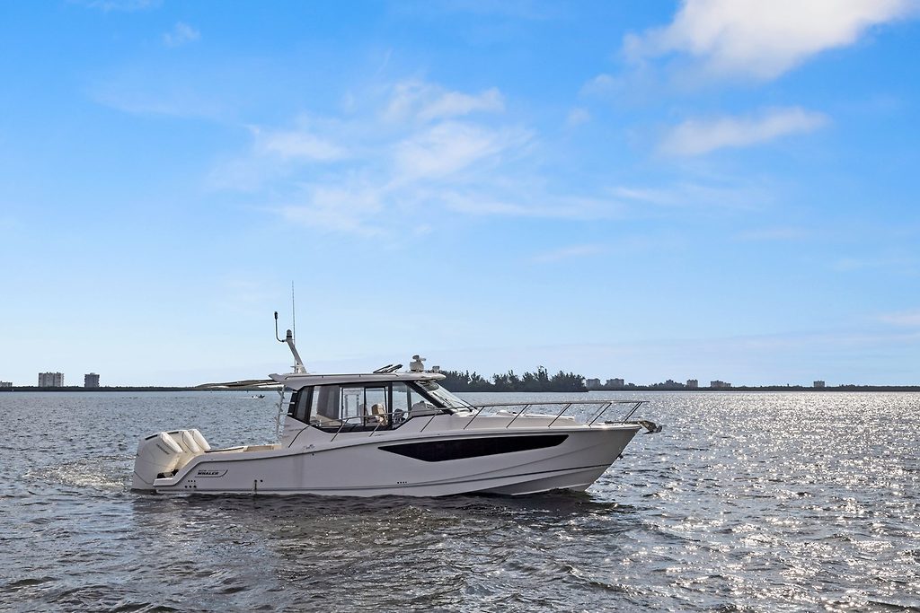 LOBO DEL MAR II