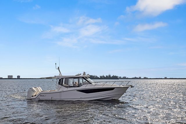 LOBO DEL MAR II