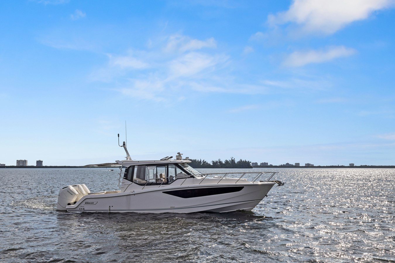 Lobo del Mar II