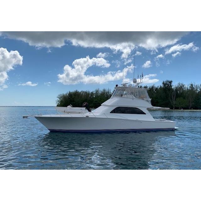 2003 VIKING