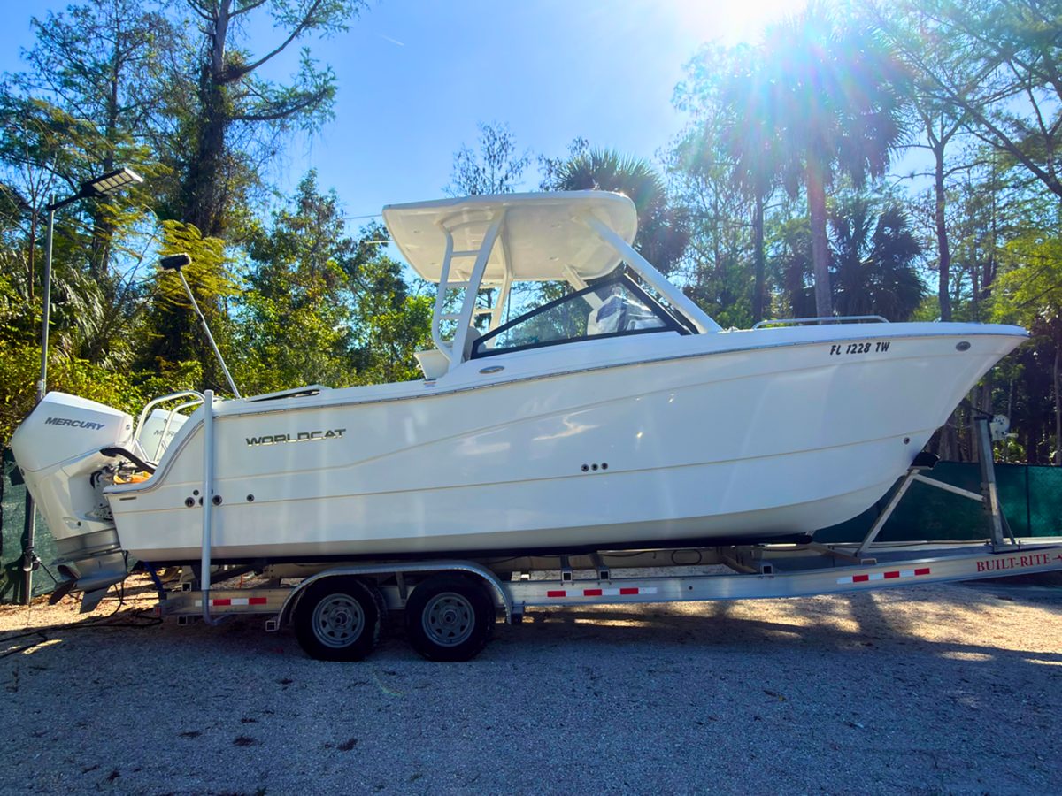 2024 WORLD CAT 260 DC-X
