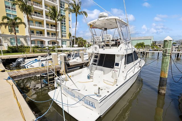 Yacht