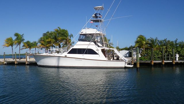 OCEAN HUNTER
