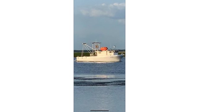 1976 STAPLETON 58 SHRIMPER/LONG LINER
