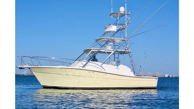 2006 TOPAZ EXPRESS CRUISER