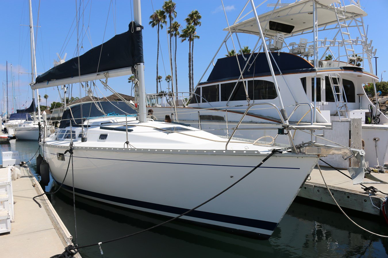 HUNTER LEGEND 37.5