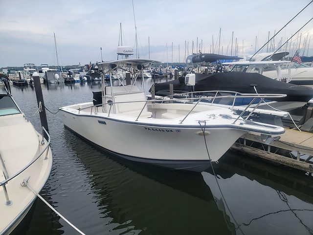 BAY RAT II