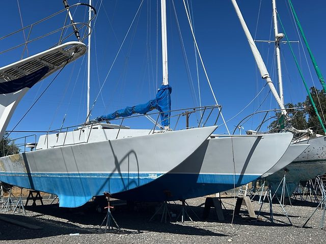 MS BLUE PEARL
