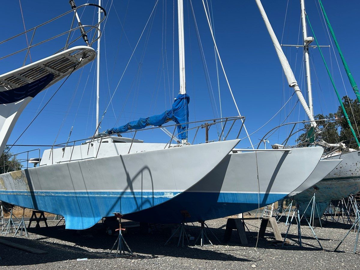 MS BLUE PEARL