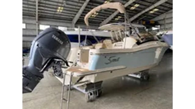 2024 SCOUT 215 DORADO